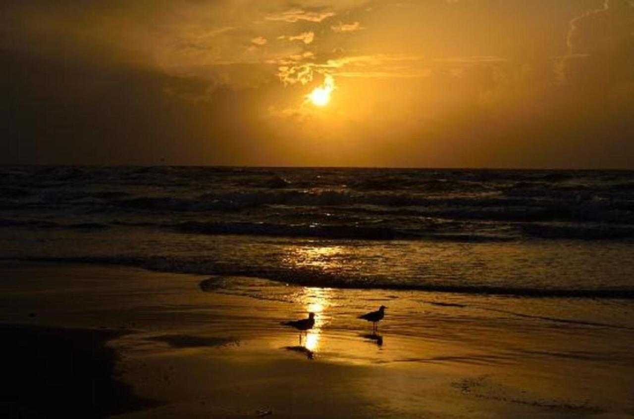 Affordable Family Condo -Walking Distance To Beach By Mustang Island, Sleeps Four, 2025 Traveler Award คอร์ปัสคริสตี ภายนอก รูปภาพ